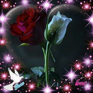 Meet your Posher, Patsyjr